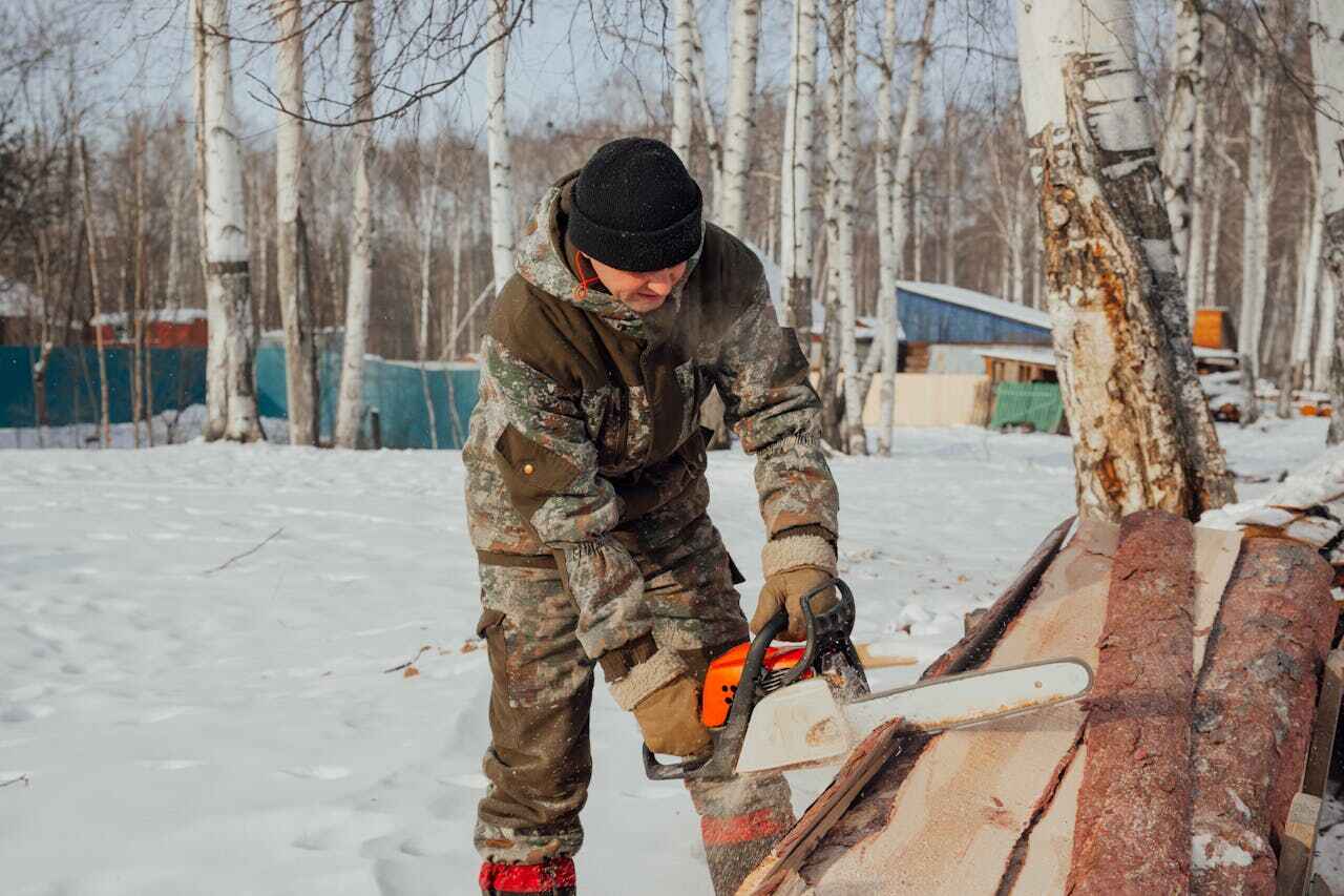 Fort Polk South, LA Tree Service Company